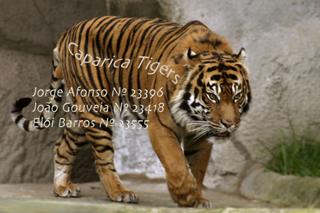 Annexe Caparica-Tiger-Logo.jpg